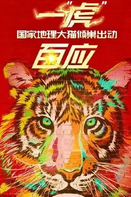 一“虎”百应