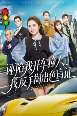 诬陷我开车撞人，我反手掏出色盲证