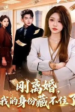 刚离婚,我的身份藏不住了海报