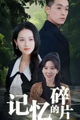 记忆的碎片