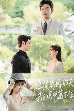 她提离婚那天，我的马甲藏不住