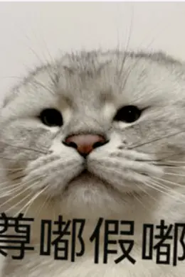 太离谱了这俩!