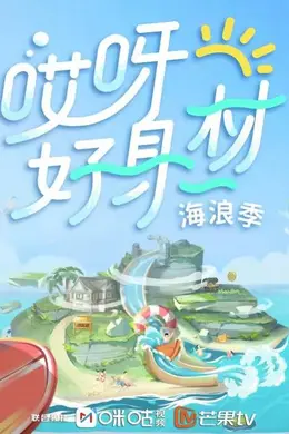 哎呀好身材3卫视版