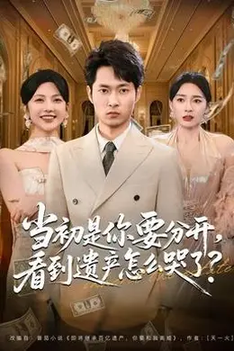 当初是你要分开，看到遗产怎么哭了？