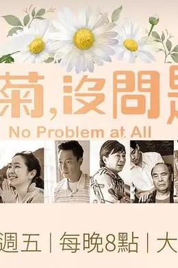 冬菊，没问题