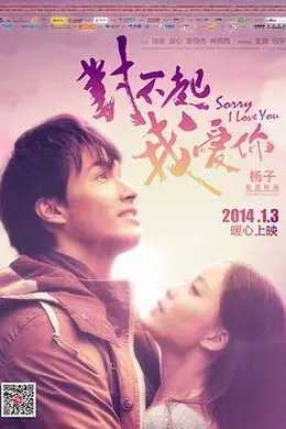对不起，我爱你2014