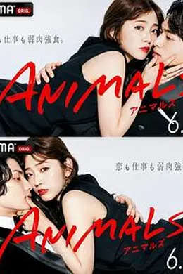 动物 ANIMALS