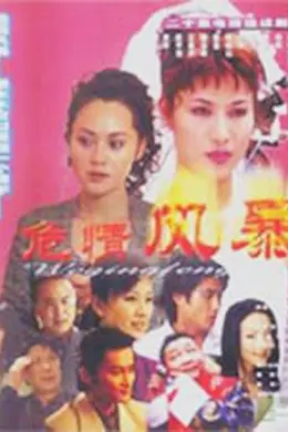 危情风暴