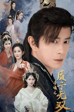 夺嫡之质子无双