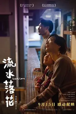 流水落花4K