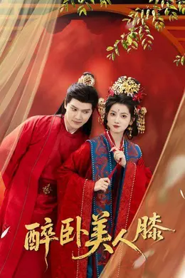 醉卧美人膝