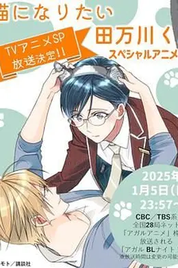 想变成猫的田万川君