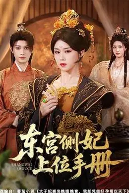 东宫侧妃上位手册