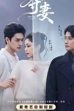 夺妻