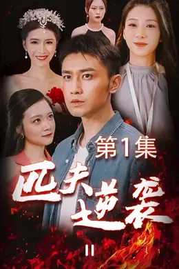 匹夫逆袭