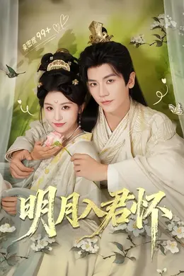明月入君怀