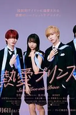 热爱王子