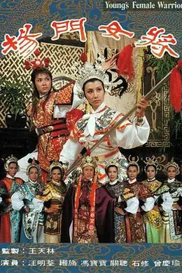 杨门女将海报