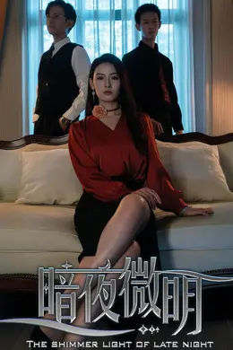 暗夜微明海报