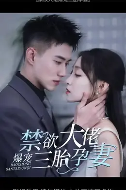 禁欲大佬爆宠三胎孕妻