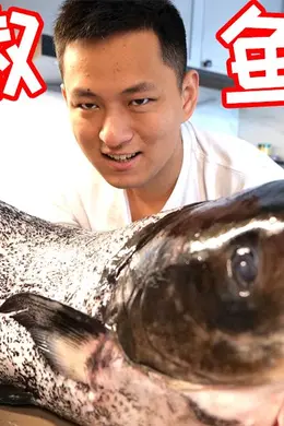 我有史以来吃过最大的剁椒鱼头！