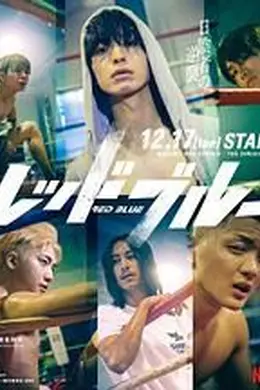 红蓝