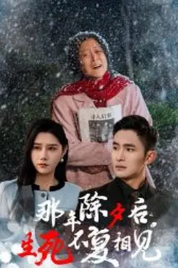 那年除夕后生死不复相见
