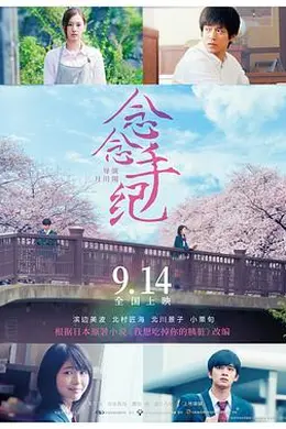 念念手纪国语