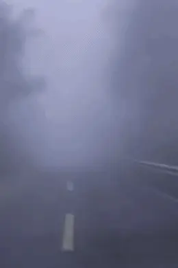 想你的风吹到了哀牢山?官方:限量体验