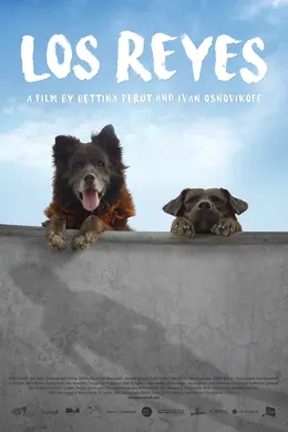 犬犬风尘