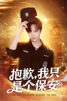 抱歉，我只是个保安