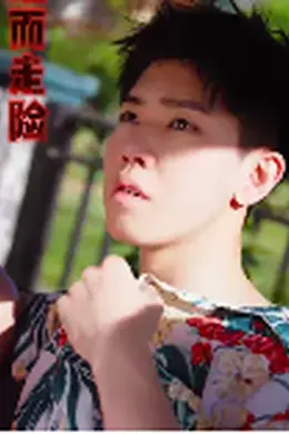 铤而走险$步步高升