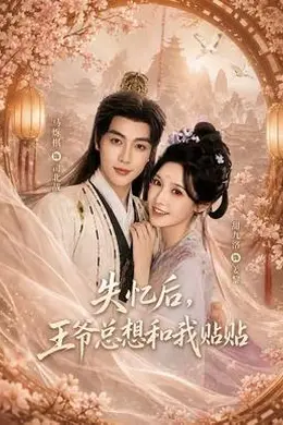 失忆后，王爷总想和我贴贴