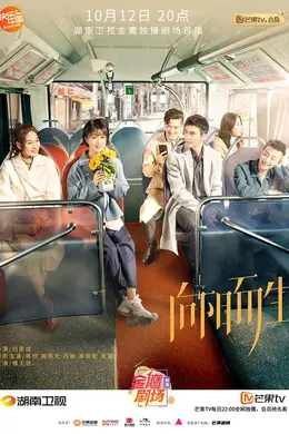 向阳而生网络版