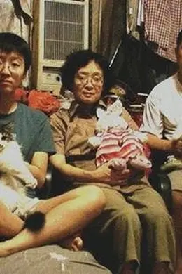 牛皮
