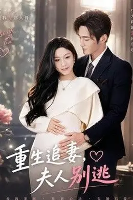 重生追妻，夫人别逃