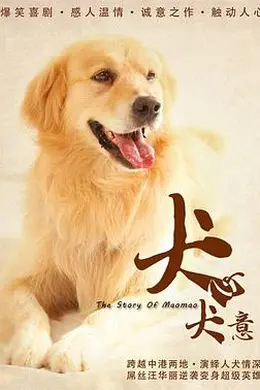 犬心犬意
