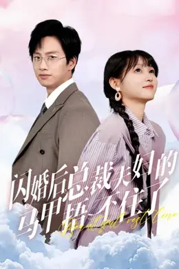 闪婚后总裁夫妇的马甲捂不住了海报