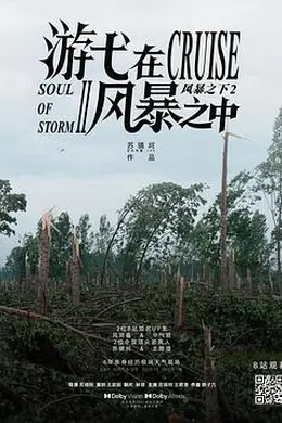 游弋在风暴之中