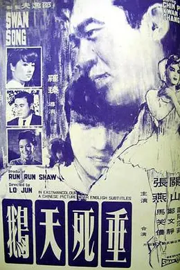 垂死天鹅