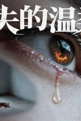 消失的温柔乡（AI短剧）