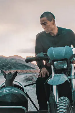 《狗阵》,也就那么回事吧……