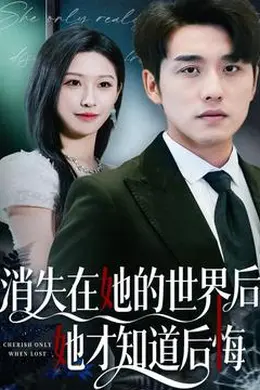 消失在她的世界后她才知道后悔海报