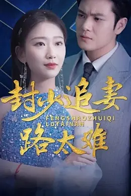 封少追妻路太难