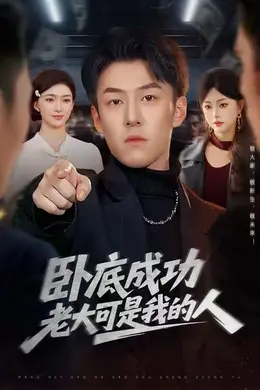 卧底成功老大可是我的人