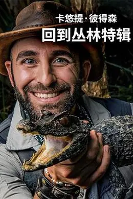 卡悠提彼得森：回到丛林特辑