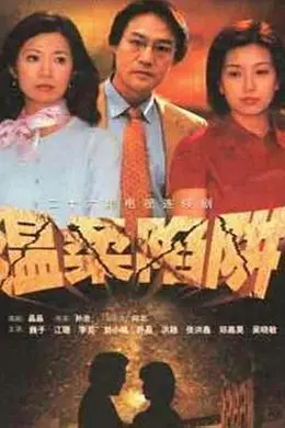 温柔陷阱2001