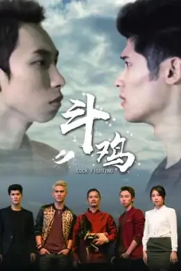 斗鸡