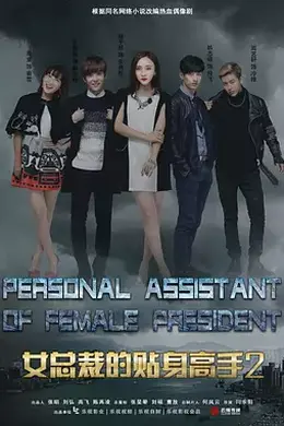 女总裁的贴身高手2