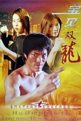宝贝双龙